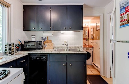Kenilworth Ski Chalet | DT Asheville - Zurich MNT Chalet #9A/Low Cost Uber