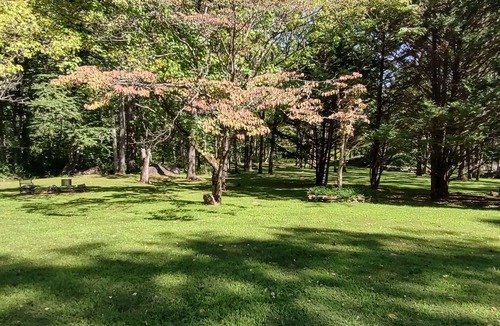 Peaks Cabin | Enjoy Summertime at the cabin! Come relax and unwind!