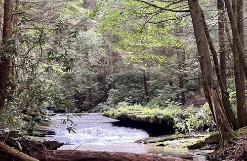 Woodbine RV Rental | Gated Luxury Glamping at Diamond Acres – Near Grove Marina & Cumberland Falls