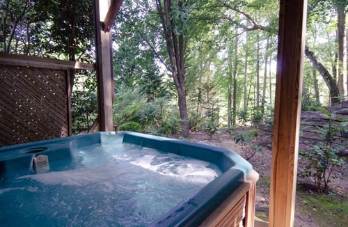 Skyland Cabin | Golf Fans Welcome! Private Cabin Near Asheville's PGA TOUR event