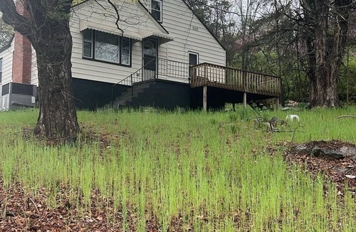 Greeneville House | Gorgeous 4-bedroom house with AC in charming Greeneville