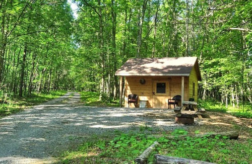 Crellin Cabin | Gorgeous Cabin Rental for a Getaway near Oakland, Maryland