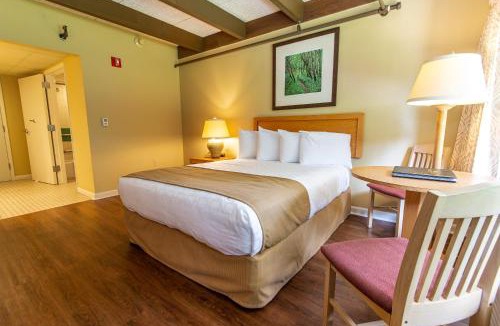 Argillite Resort | Greenbo Lake State Resort Park