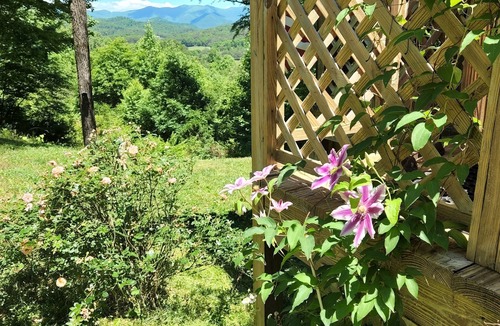 Franklin Cabin | Heaven on a hilltop *mountain*views*cozy*private