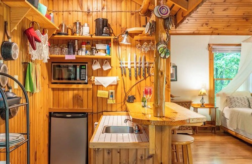 Hot Springs Cabin | Hot Springs Hideaway: Hot Tub, Privacy, Mt Views - Cabin #3