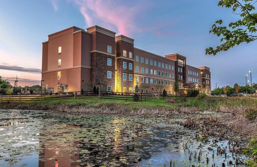 Farragut Apartment | King Studio w/Pond View | Free Breakfast + Pool