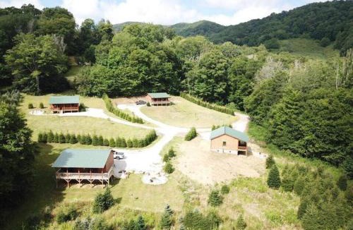 Banner Elk House | Little Elk Cabin
