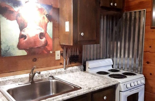 Copperhill Cabin | Lovely Copperhill Cabin Rental for a Tennessee Vacation