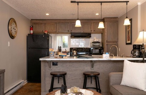 Kenilworth Ski Chalet | Lower Berne Chalet 4 Mins to DT AVL, 10 Mins to Blue Ridge Parkway, Dog Friendly