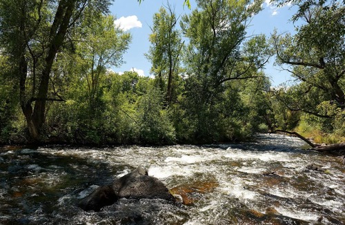 Basalt Cabin | Luxurious Riverfront Cabin on the Frying Pan River - 1 block to Basalt