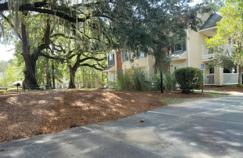 Charleston Apartment | Modern luxury 1BR Suite with low country living