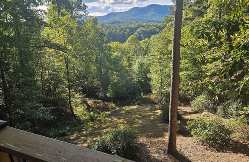 Murphy Cabin | Mountain cabin, gorgeous views! 15 Min to 2 Whitewater Rafting Rivers! feed deer