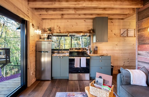 Franklin Cabin | Mushroom-Inspired Treehouse with Living Roof - The Mēos
