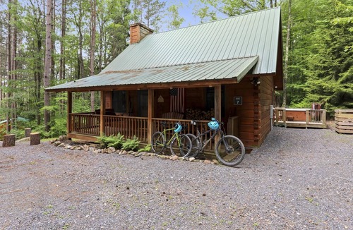 Davis Cabin | Perfect location for a Canaan Valley vacation! Welcome to Red Squirrel Pines!