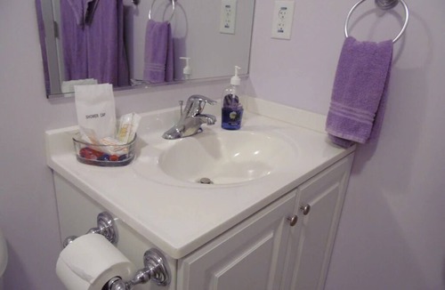 Harpers Ferry Bed & Breakfast | Potomac Room-one bed