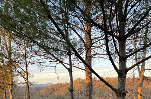 Ferguson House | Private Cabin With Stunning Mountain & Sunset Views – Hot Tub – WiFi