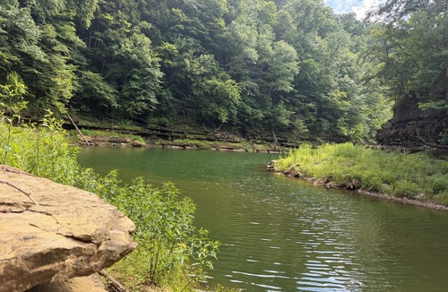 Albany Cabin | Private, cozy 2-bedroom cabin located minutes from Lake Cumberland & Dale Hollow