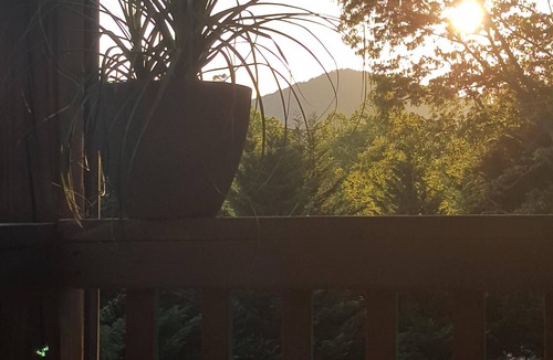 Franklin Cabin | Red Maple Cabin in Franklin NC