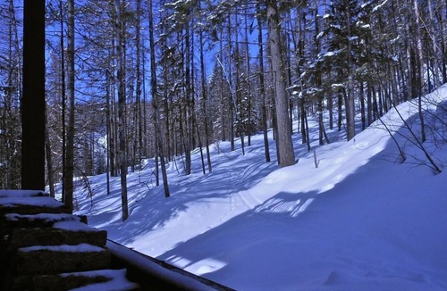 Whitefish Cabin | Rustic, Multi Level Condo
