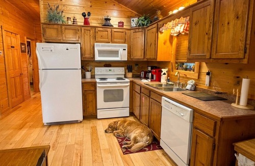 Sevierville Cabin | Secluded "Guest Fave" Cabin・Hot Tub・Dog OK!・Near Quiet National Park Entrance