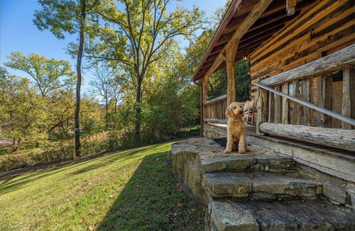 Hot Springs Cabin | Secluded Log Cabin Near Hot Springs-Pet Friendly