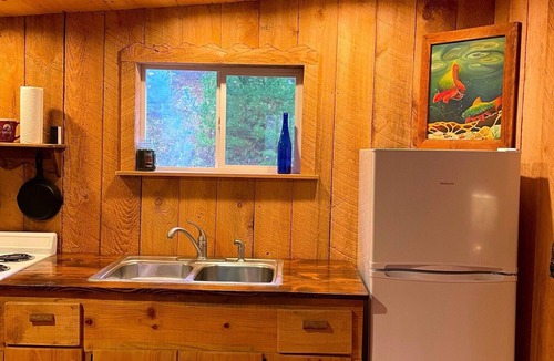 Vein Mountain Cabin | Secluded Mountain Cabin on Private Pond · Fireplace · Hiking Trails · WiFi