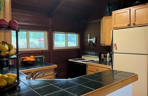 Indian Lake Cabin | Serene 2-Bedroom Lakeview Cabin Retreat w/Dock, Kayak & SUP with AC