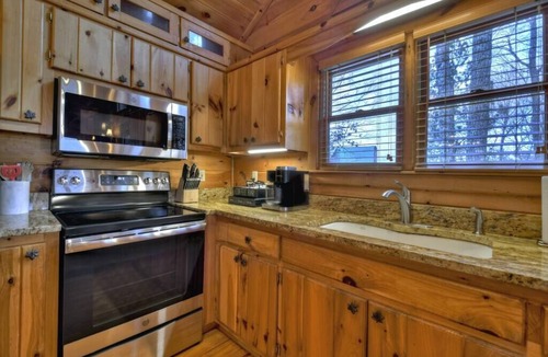 Necowa Cove Cabin | Sharin-A-Lakeview | $229 Off Your Stay!