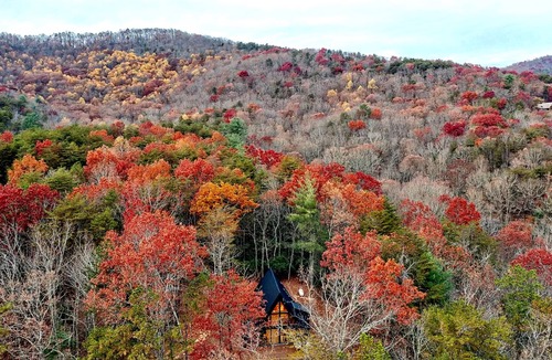 Ellijay Cabin | Simplicity has "A" style of its own! Secluded mountain retreat in East Ellijay