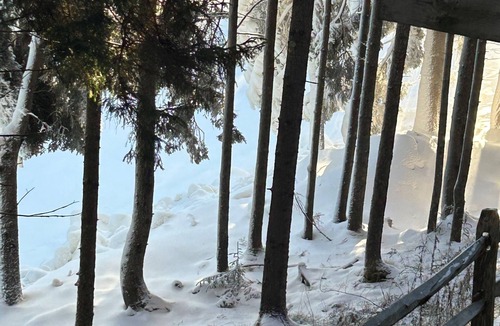 Edray House | Slopeside-Loggers Run- 3-floor Townhome - Ski-in/Ski-out to Upper Flume - Green
