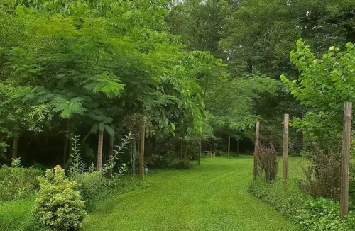 Demorest House | Small 1897 Farm House, super cozy on two acres