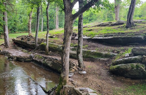 Maynardville Cabin | Soothing creek cabin with 1 bedroom in charming Maynardville