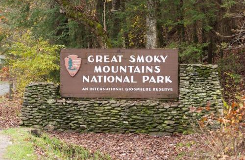 Sevierville Ski Chalet | Spirit Bear Private Smoky Mountain Cabin on 4 Acres with Hot Tub