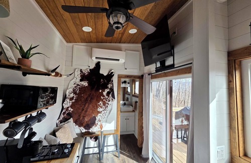 Waynesville Ski Chalet | The Fox Den - Peaceful Tiny Home Retreat in the Mountains w/Hot Tub & Fire Pit