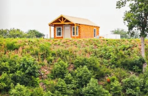 Bean Station Cabin | Tranquil Cabin In Charming Bean Station Tn on Cherokee Lake With Boat Ramp