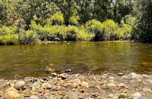 Kaweah House | Tranquil Riverfront Studio