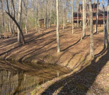 My Mountain House | Tranquility Pond - Pet Friendly | Hot Tub | Sits on a Natural Pond | Pool Table | Fire Pit