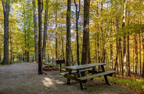 Allegheny Mountains Cabin | Treehouse Cabin in Riverton, WV