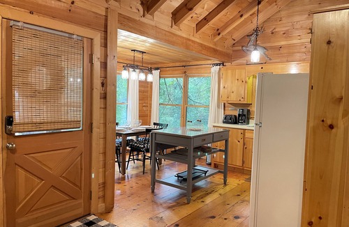 Hidden Lake House | Welcome to Bearadise! Charming cabin 10 minutes to downtown Blue Ridge!