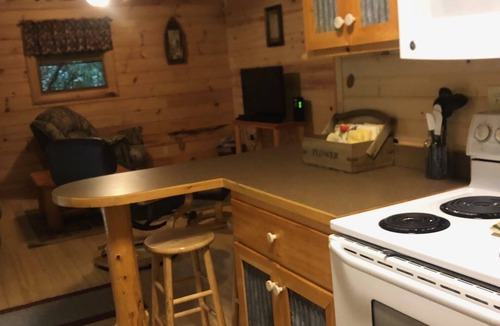 Oneida Cabin | Whitetail Hollow- 2 bedroom 1 bath