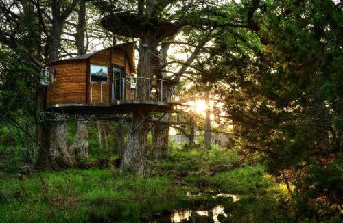 Spicewood House | Willow