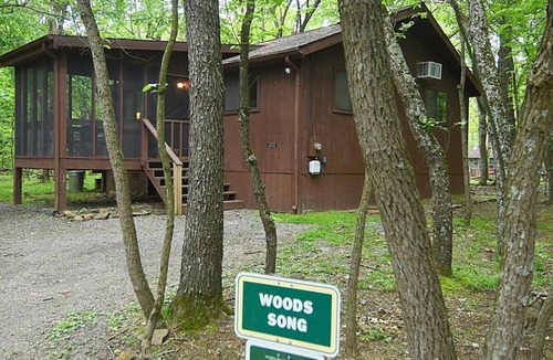 The Woods Cabin | Wood Song
