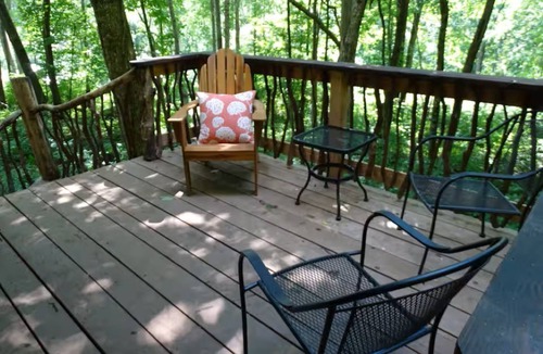 Barnardsville Cabin | Woodland Chalet/Peaceful Forest Retreat