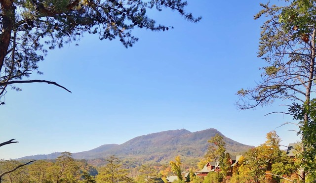 1BR, Hot Tub, Mountain View.