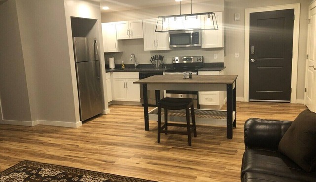 203 New downtown living Queen Wi-Fi 1 bedroom