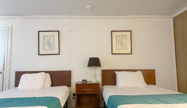 3 Units | Great for Family Trips | Modern Stay & Scenic Tennessee Views