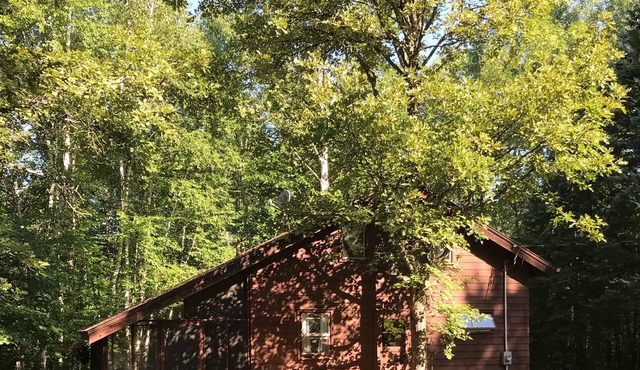 A secluded cabin on the wild and scenic kettle river in Sturgeon Lake