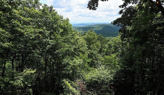 Awesome Views HOT TUB Outdoor Shower Fast Wifi