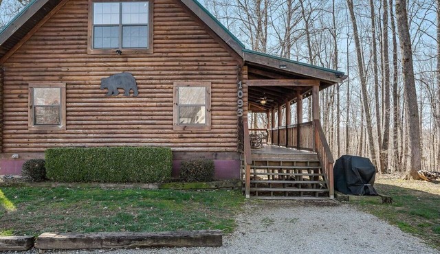Bear Necessities by East Port Marina & Dale Hollow