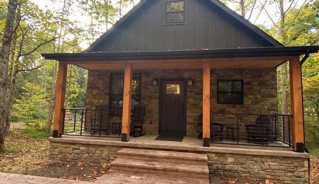 Beautiful, brand new cabin for your family and friends to stay and enjoy!